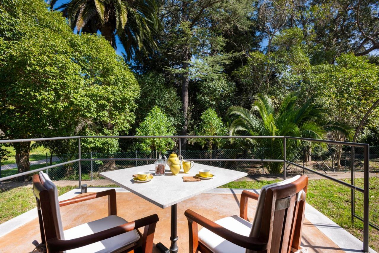 Son Grua Agroturismo - Adults Only Pollença Εξωτερικό φωτογραφία
